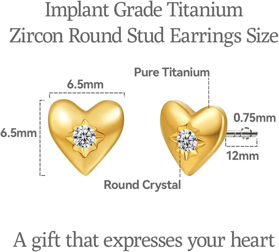 Limerencia G23 Pure Titanium Hypoallergenic Earrings, F136 Implant Grade Titanium Studs Suitable for Sensitive Ears Delicate Jewelry