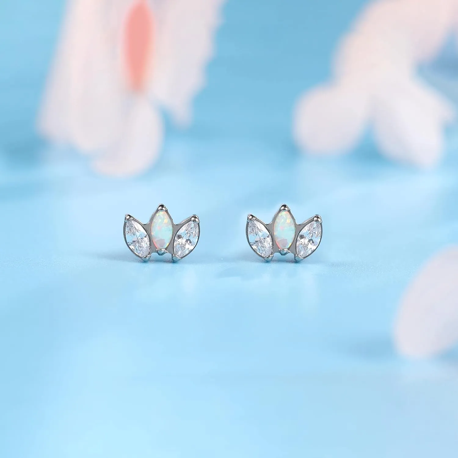 Limerencia Hypoallergenic G23 Pure Titanium Earrings | Crown Cubic Zirconia | F136 Implant Grade Piercing Studs| Suitable for Sensitive Ears Delicate Jewelry