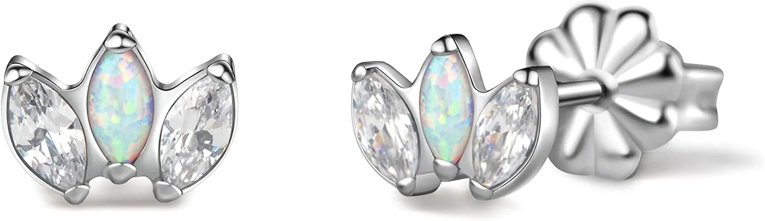 Limerencia Hypoallergenic G23 Pure Titanium Earrings | Crown Cubic Zirconia | F136 Implant Grade Piercing Studs| Suitable for Sensitive Ears Delicate Jewelry