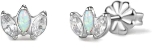Limerencia Hypoallergenic G23 Pure Titanium Earrings | Crown Cubic Zirconia | F136 Implant Grade Piercing Studs| Suitable for Sensitive Ears Delicate Jewelry